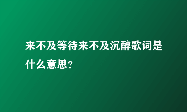 来不及等待来不及沉醉歌词是什么意思？