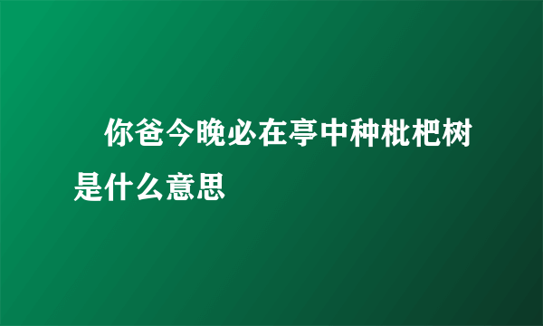 ​你爸今晚必在亭中种枇杷树是什么意思