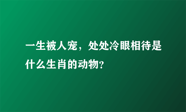 一生被人宠，处处冷眼相待是什么生肖的动物？