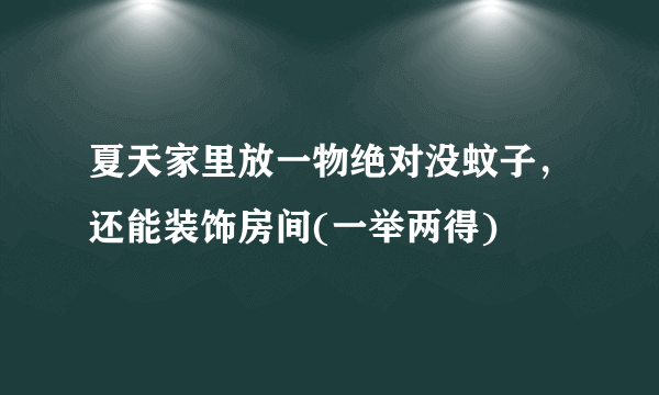 夏天家里放一物绝对没蚊子，还能装饰房间(一举两得) 