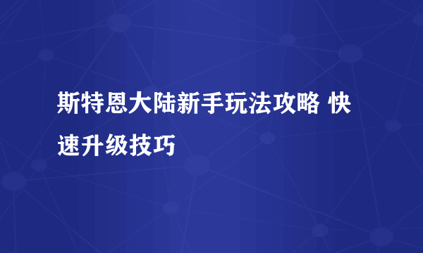 斯特恩大陆新手玩法攻略 快速升级技巧