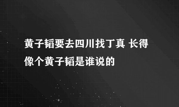 黄子韬要去四川找丁真 长得像个黄子韬是谁说的