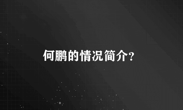 何鹏的情况简介？