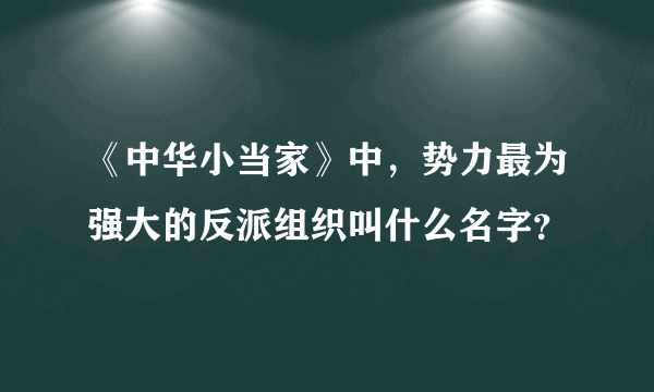 《中华小当家》中，势力最为强大的反派组织叫什么名字？