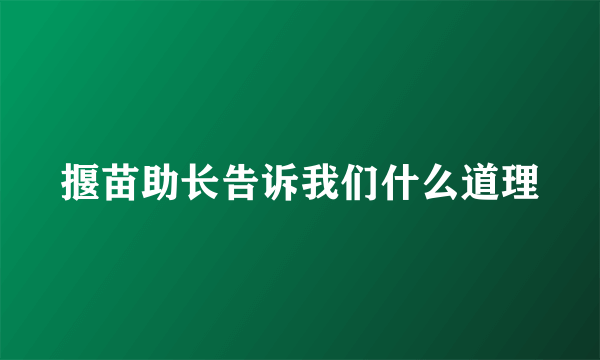 揠苗助长告诉我们什么道理