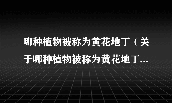 哪种植物被称为黄花地丁（关于哪种植物被称为黄花地丁的简介）