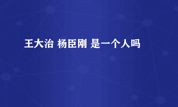 王大治 杨臣刚 是一个人吗