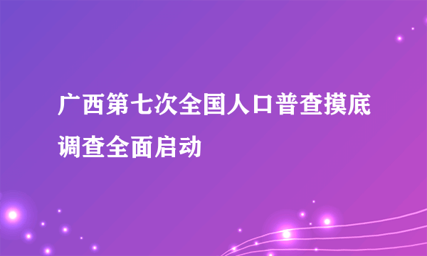 广西第七次全国人口普查摸底调查全面启动