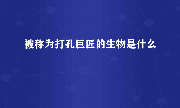 被称为打孔巨匠的生物是什么