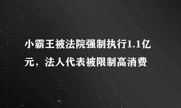 小霸王被法院强制执行1.1亿元，法人代表被限制高消费