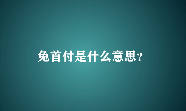 兔首付是什么意思？