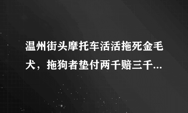 温州街头摩托车活活拖死金毛犬，拖狗者垫付两千赔三千，你认为结果合理吗？