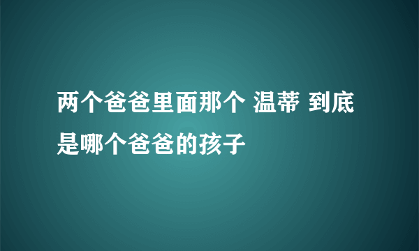 两个爸爸里面那个 温蒂 到底是哪个爸爸的孩子