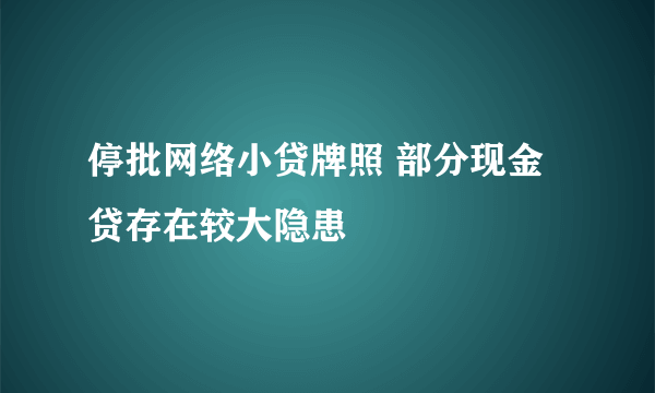 停批网络小贷牌照 部分现金贷存在较大隐患