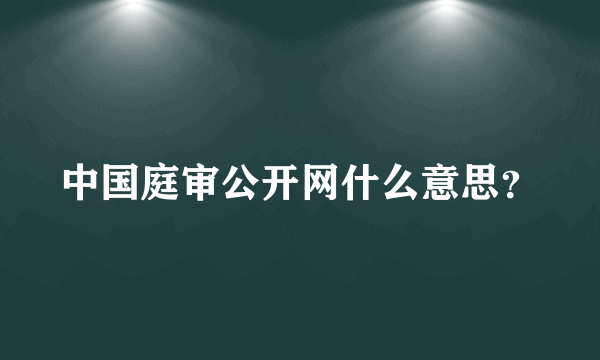 中国庭审公开网什么意思？