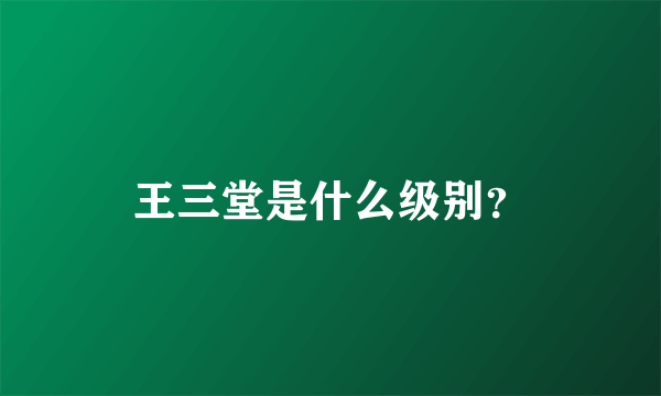 王三堂是什么级别？