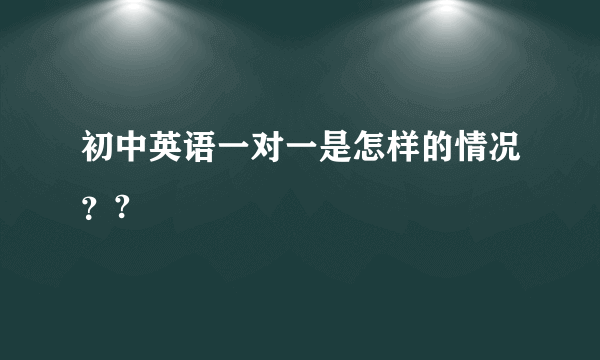 初中英语一对一是怎样的情况？?