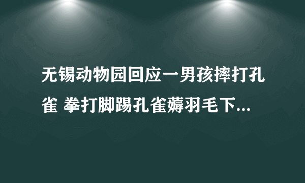 无锡动物园回应一男孩摔打孔雀 拳打脚踢孔雀薅羽毛下手真的是太狠了