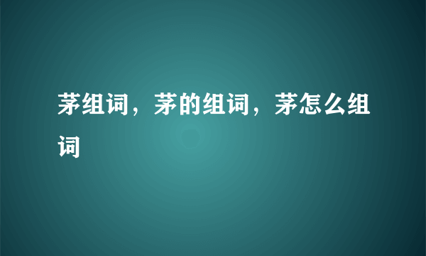 茅组词，茅的组词，茅怎么组词