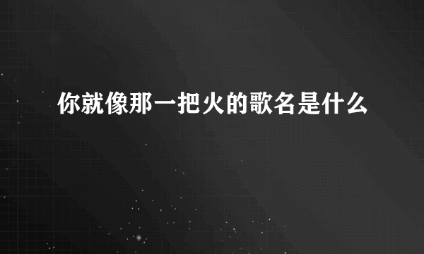 你就像那一把火的歌名是什么