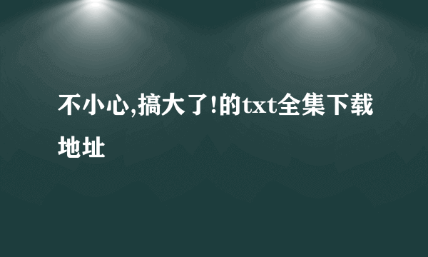 不小心,搞大了!的txt全集下载地址