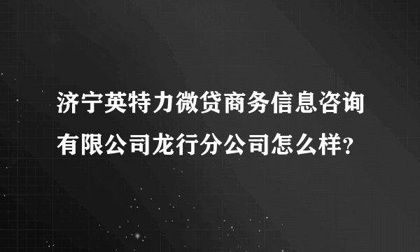 济宁英特力微贷商务信息咨询有限公司龙行分公司怎么样？