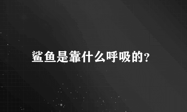 鲨鱼是靠什么呼吸的？