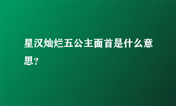 星汉灿烂五公主面首是什么意思？