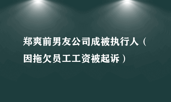 郑爽前男友公司成被执行人（因拖欠员工工资被起诉）