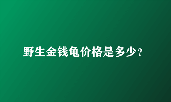 野生金钱龟价格是多少？