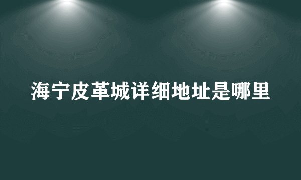 海宁皮革城详细地址是哪里