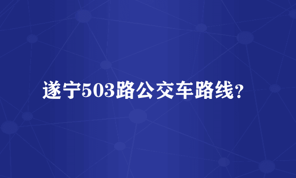 遂宁503路公交车路线？