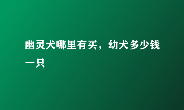 幽灵犬哪里有买，幼犬多少钱一只