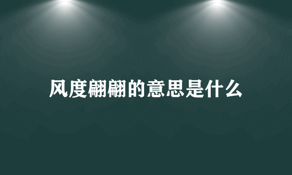 风度翩翩的意思是什么