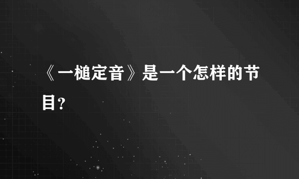 《一槌定音》是一个怎样的节目？