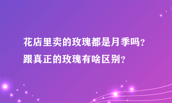 花店里卖的玫瑰都是月季吗？跟真正的玫瑰有啥区别？