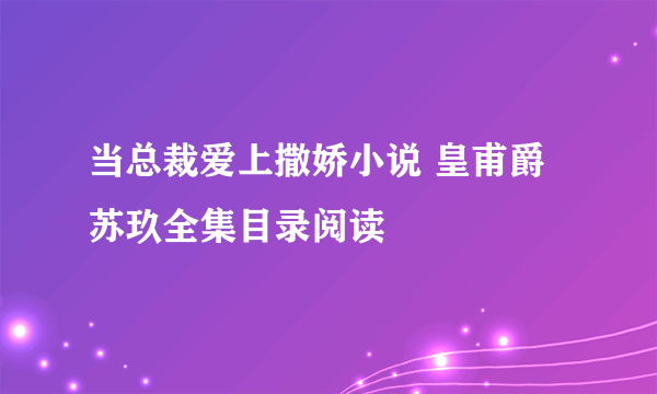 当总裁爱上撒娇小说 皇甫爵苏玖全集目录阅读