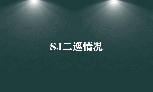 SJ二巡情况