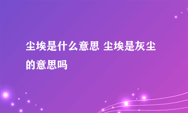 尘埃是什么意思 尘埃是灰尘的意思吗