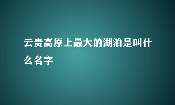 云贵高原上最大的湖泊是叫什么名字