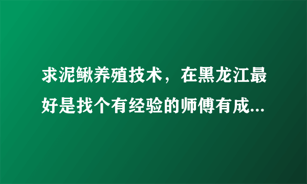 求泥鳅养殖技术，在黑龙江最好是找个有经验的师傅有成功养过泥鳅的最好