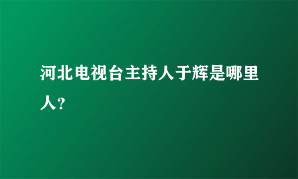 河北电视台主持人于辉是哪里人？