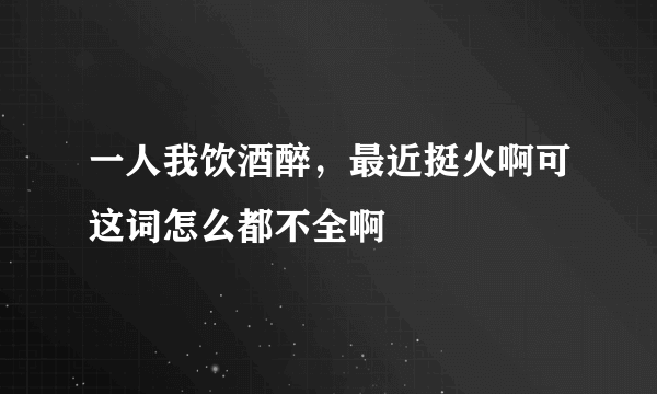 一人我饮酒醉，最近挺火啊可这词怎么都不全啊