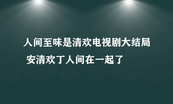 人间至味是清欢电视剧大结局 安清欢丁人间在一起了