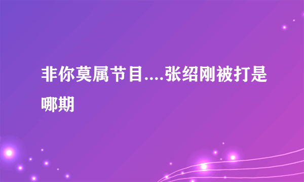 非你莫属节目....张绍刚被打是哪期