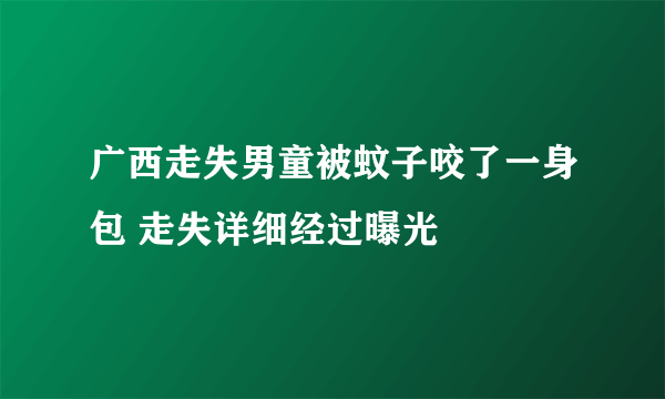 广西走失男童被蚊子咬了一身包 走失详细经过曝光