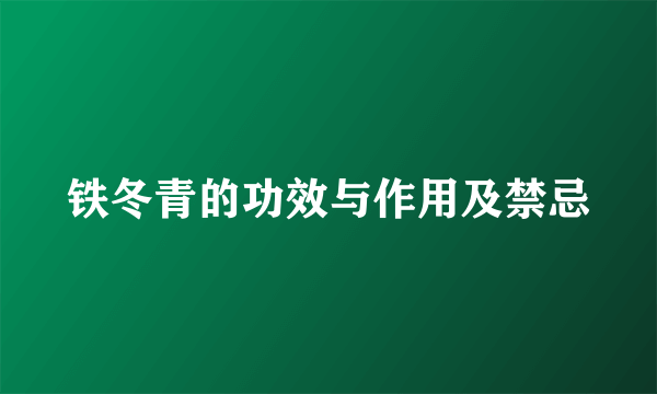 铁冬青的功效与作用及禁忌