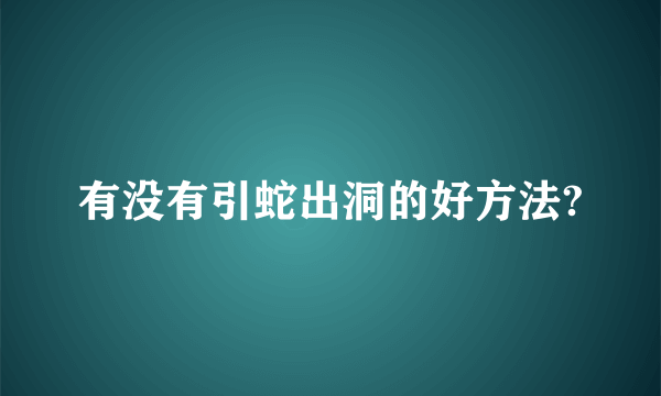 有没有引蛇出洞的好方法?