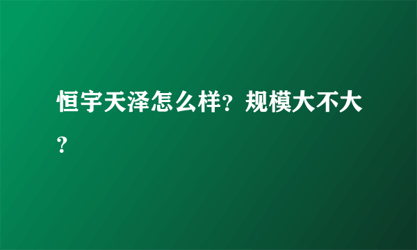 恒宇天泽怎么样？规模大不大？