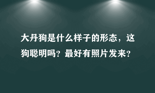 大丹狗是什么样子的形态，这狗聪明吗？最好有照片发来？